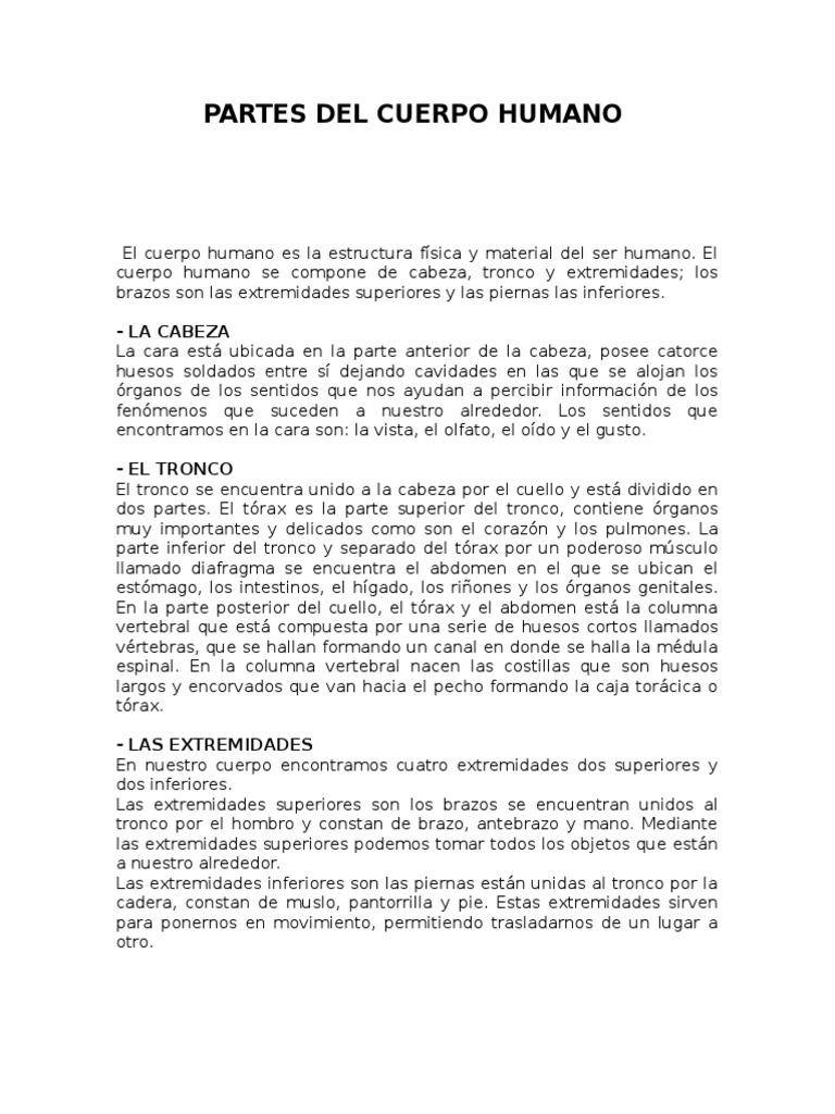 Partes Del Cuerpo Humano | PDF | Estudios de idiomas extranjeros ...