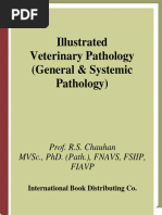 Download veterinary pathologypdf by Ioana Sandu SN317382275 doc pdf