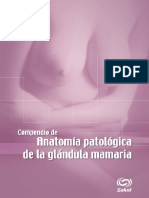 mama2.pdf
