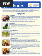 Apple Diseases Diagnostic Key