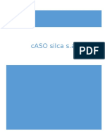 Caso Silca