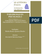 Ensayo Paradigmas en Psicología 