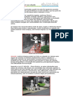 dicas_construir_calcada.pdf