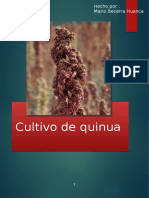038 B Quinua