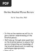 Brachial Plexus