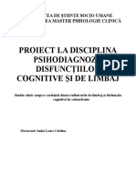 Proiect de Seminar Disfunctii Cognitive Si de Limbaj