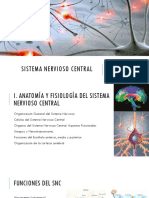 Sistema Nervioso Central PDF
