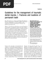 Flores Et Al 2007 Dental Traumatology 3