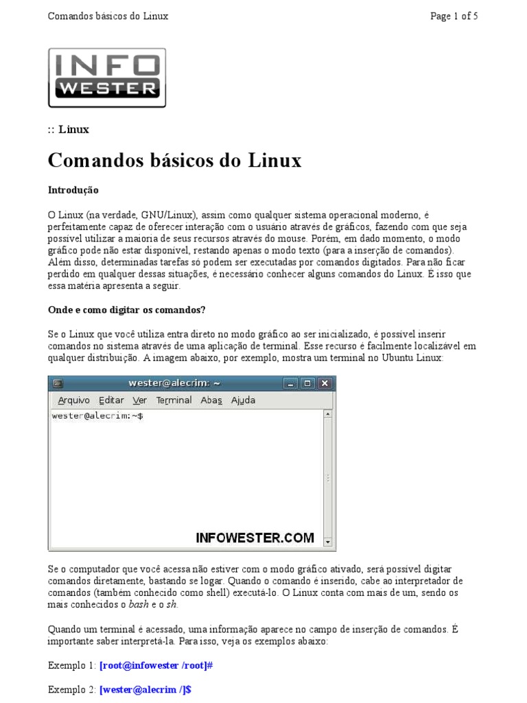 Comandos Basicos Linux | PDF