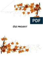 Oszprojekt PDF