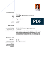 European CV Format