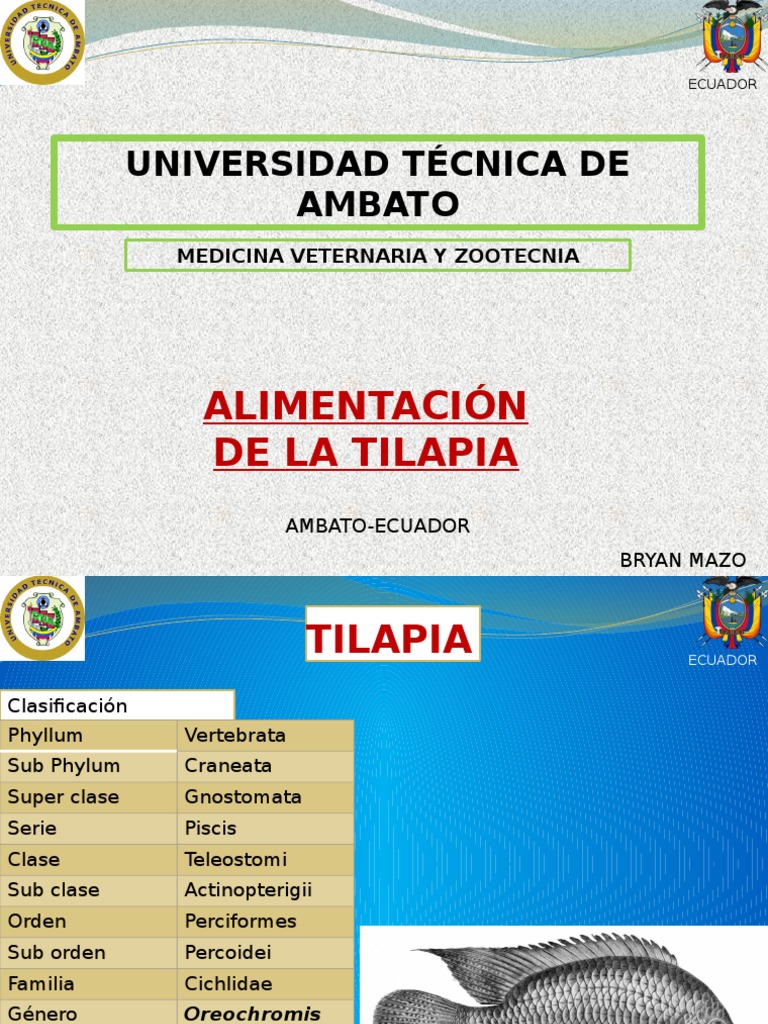 tilapia Vitamina Nutrición