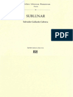 Sublunar de Salvador Gallardo Cabrera