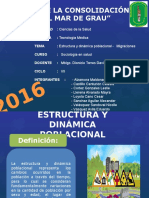 Estructura y Dinamica Poblaciona Migraciones Grupo N 3.docx Diapos