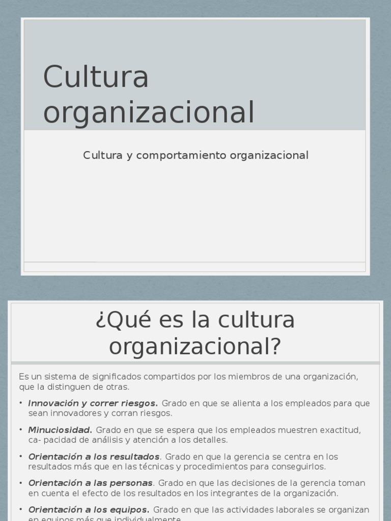 Elementos de la Cultura Organizacional | PDF | Cultura organizacional ...