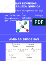 Aminas y Precursores Aminoacidos