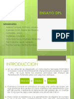 DPL Grupo 1 Tema 4 PDF