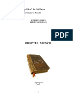 Curs Muncii Id PDF