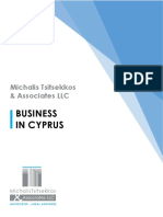 Michalis+Tsitsekkos+&+Associates+LLC Brochure