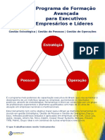 Programa de Formação Avançada Para Executivos - Empresários e Líderes - A Maestria Da Gestão de Resultados