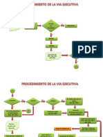 Esquema Via Ejecutiva.pdf