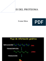 Ivonne Molecular 2