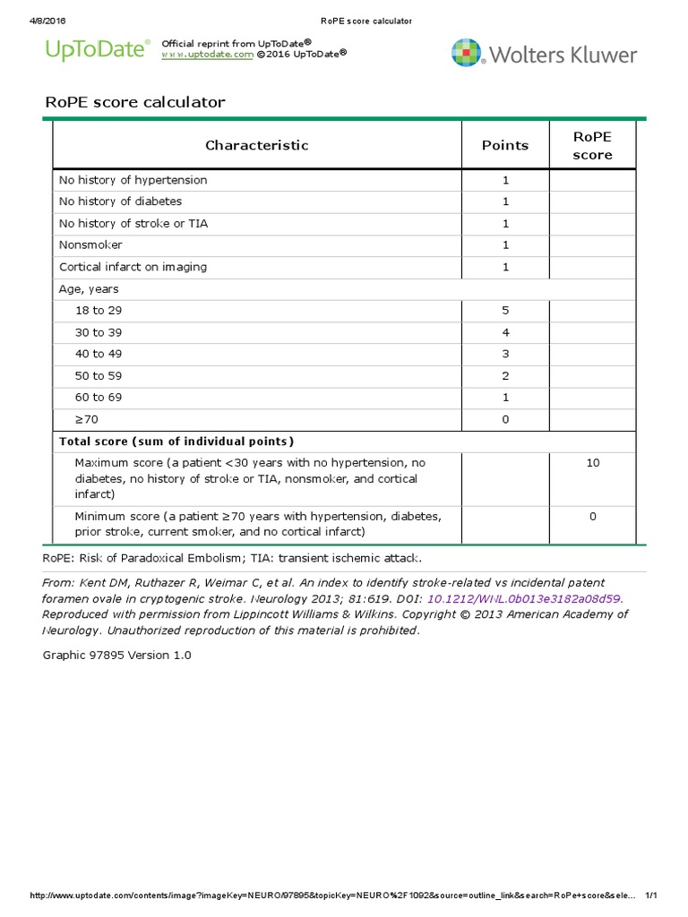 RoPE Score Calculator | PDF