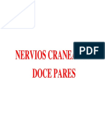 Nervios Craneales Def