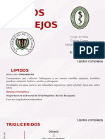 Lípidos-complejos