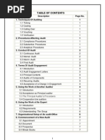 Download Audit Procedure by umair SN31755878 doc pdf