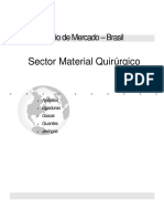 Estudio de Mercadoi Brasil - Dms
