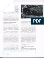 Cultura, Patrimonio Cultural y Educación en El Federalismo Mexicano PDF