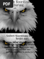 Download Presentasi Sistem Koordinasi Burung by alris1993 SN31756453 doc pdf