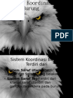 Presentasi Sistem Koordinasi Burung