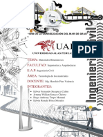 Caratula Civil 4 PDF