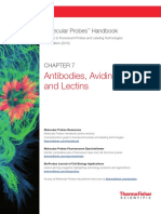 CH 7 Antibodies Avidins Lectins