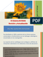 birrads actualizacion.pdf
