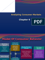 Analyzing Consumer Markets