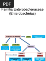 Aula Enterobacteriaceae