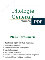 Muschii PDF