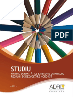 Studiu privind disparitatile in Regiunea Nord Est DRAFT 2.pdf