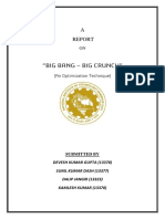 Report BB-BC PDF