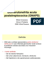 Glomerulonefrita Acuta Poststreptococica (GNAPS) - SC