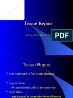 24 Tissue Repair