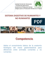 Clase Anatomía Fisiológica Del Sistema Digestivo. 2015.