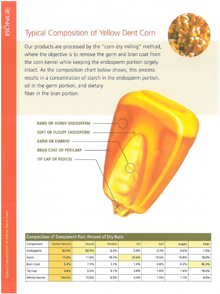 Corn Milling Process PDF | PDF
