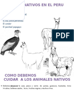 ANIMALES NATIVOS EN EL PERU.docx