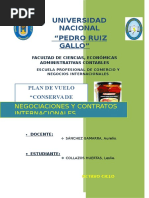 Plan vuelo