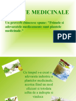 Plante Medicinale