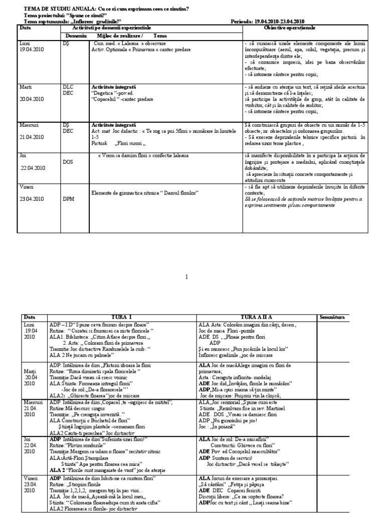 Proiect Infloresc Gradinile | PDF